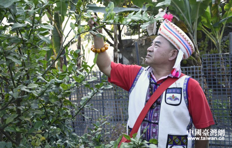 定远社区居民在“云南香料园”查看作物生长情况。
