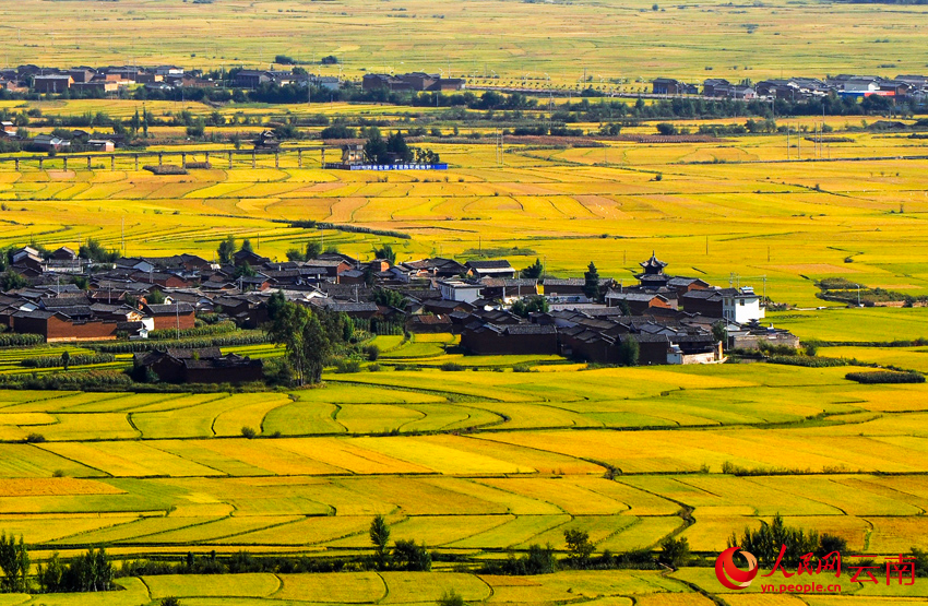 云南热门旅居目的地——大理沙溪古镇的乡村美景。苏金泉摄