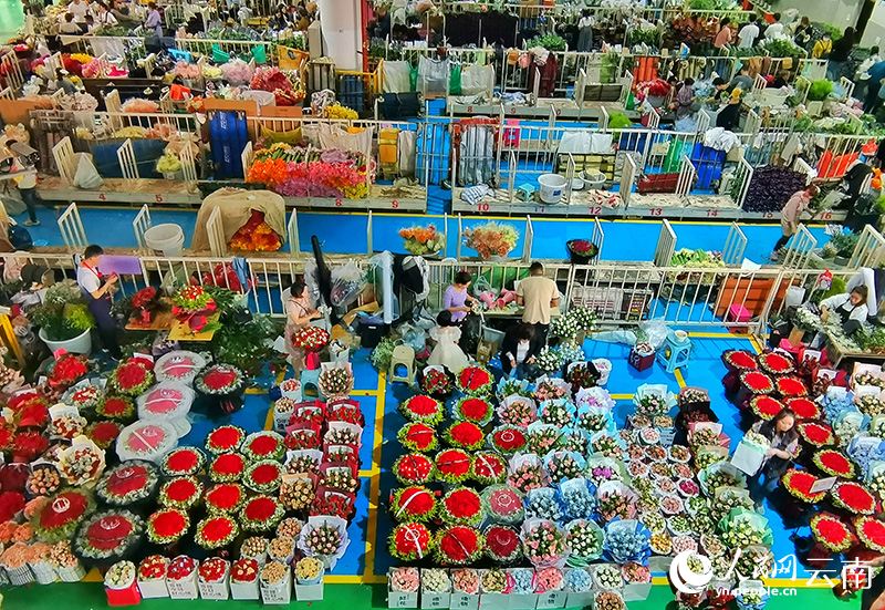 昆明斗南花市。人民网记者 刘怡摄