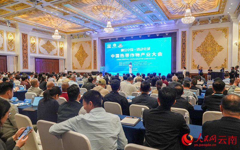 9月17日上午,中国热带作物产业大会在云南省昆明市开幕。人民网记者 虎遵会摄