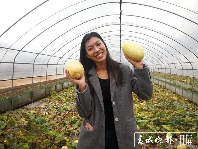 25岁台湾姑娘陈慧玲在云南富源种出“丑小瓜”4.jpg