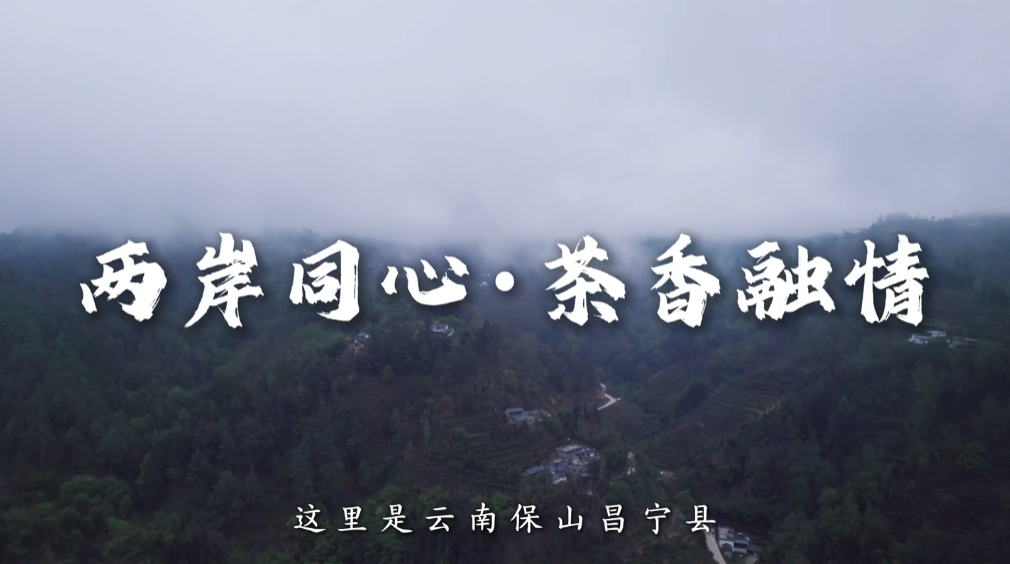 台湾原生山茶学会昌宁参访
