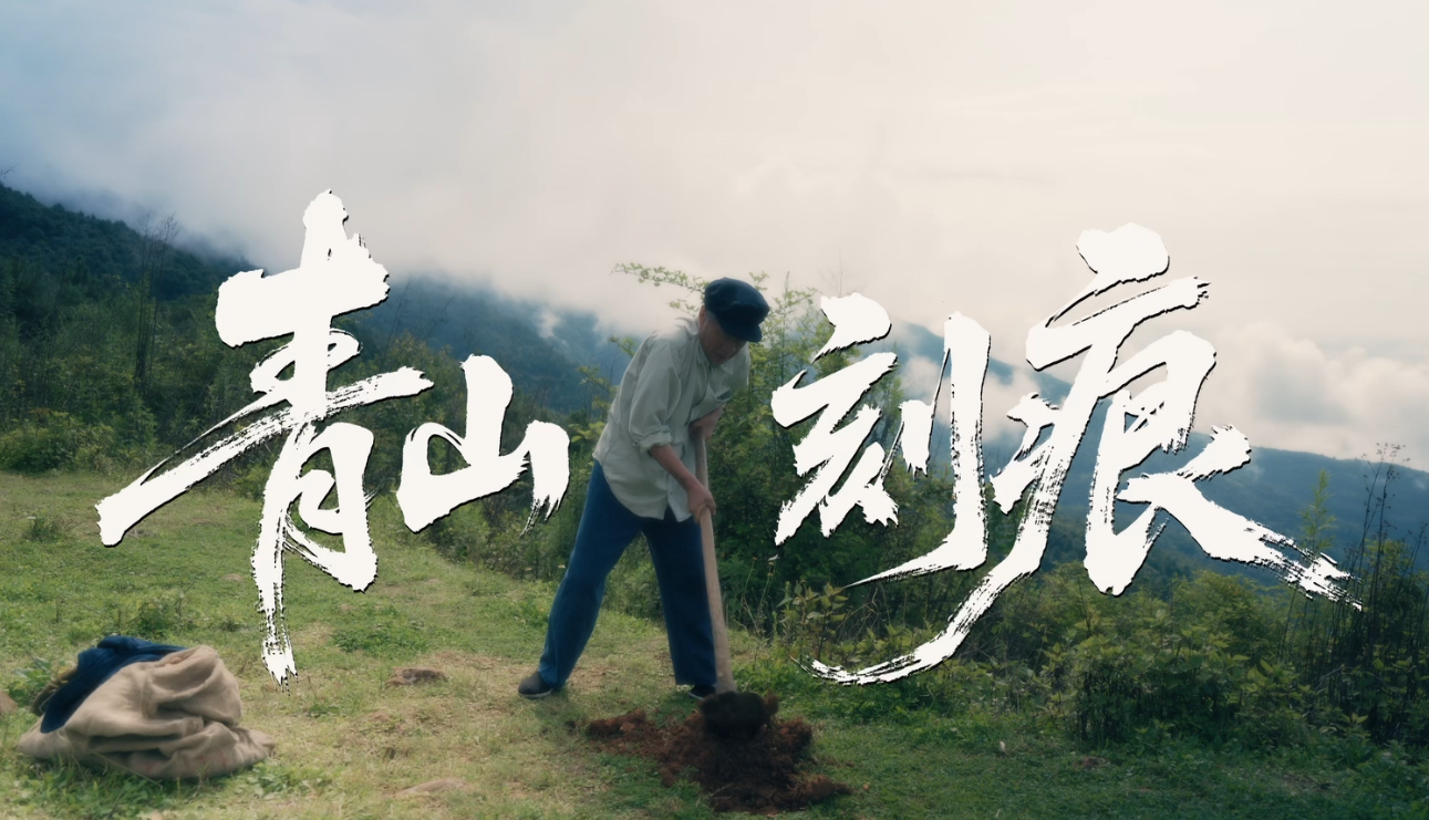 青山刻痕