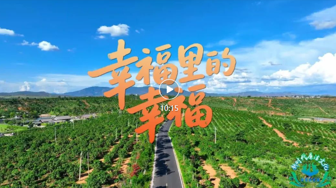 《幸福里的幸福》