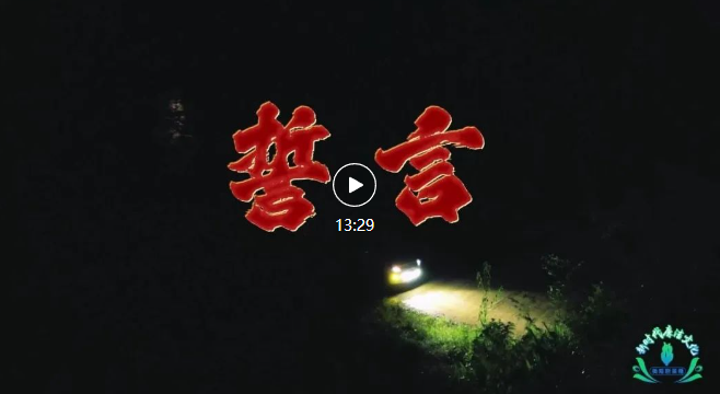 《誓言》